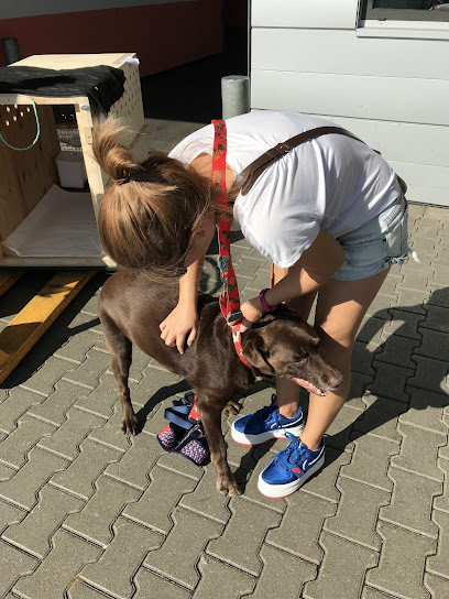 Frankfurt Animal Lounge